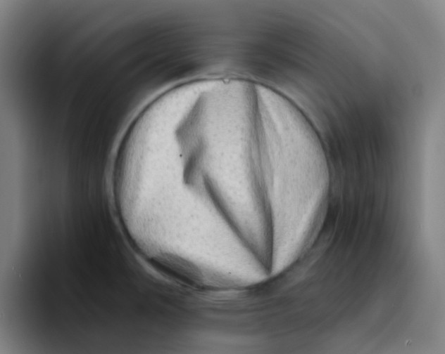 X0000094201486200711161758