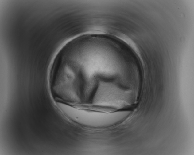 X0000094201488200711161758