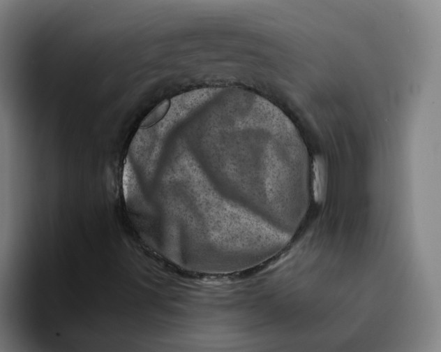 X0000094201491200711161757