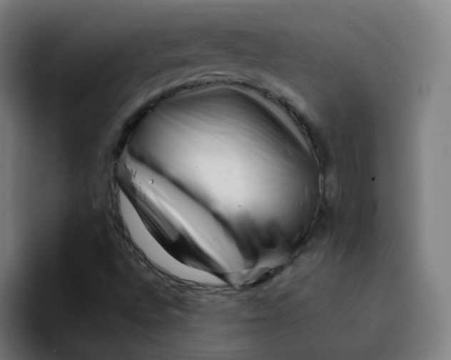 X0000094201496200711161757