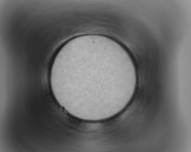 X0000094201498200711161758