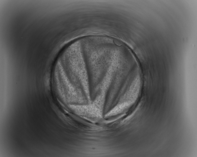 X0000094201499200711161758