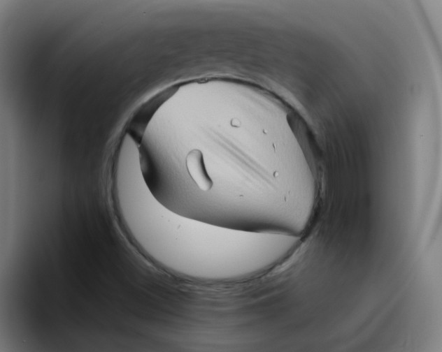 X0000094201500200711161758