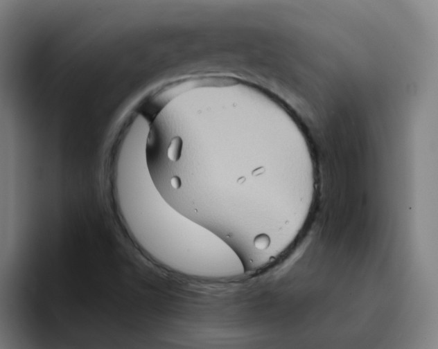 X0000094201502200711161758