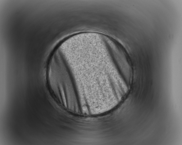 X0000094201503200711161758