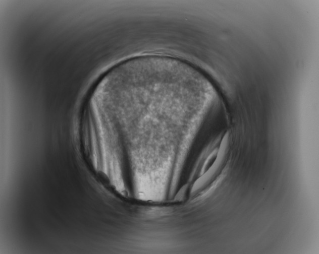 X0000094201506200711161758