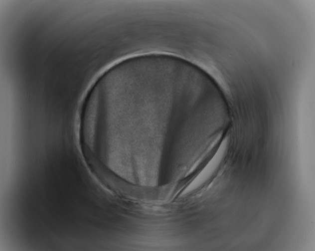 X0000094201508200711161758