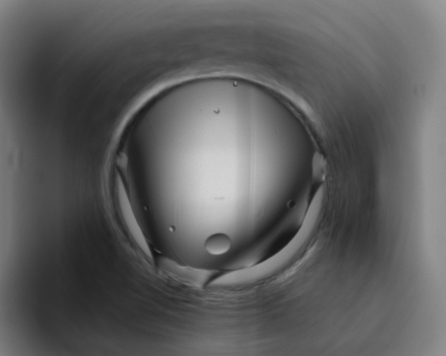 X0000094201510200711161758