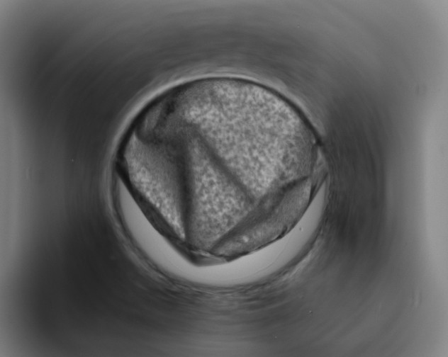 X0000094201511200711161758