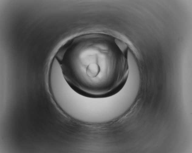 X0000094201512200711161758