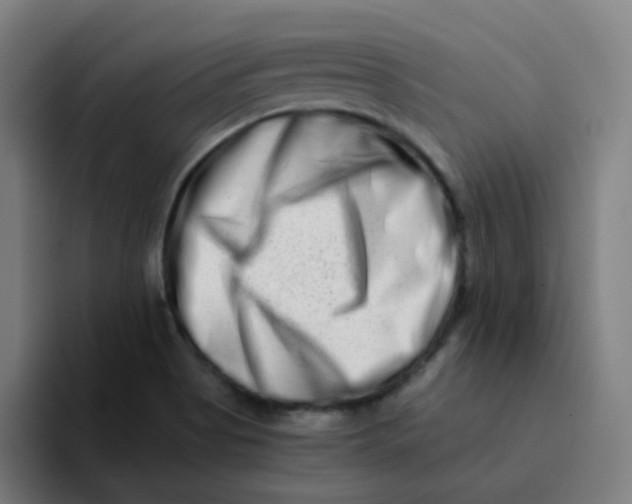 X0000094201513200711161758