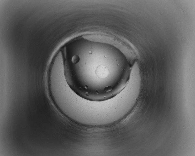 X0000094201514200711161758