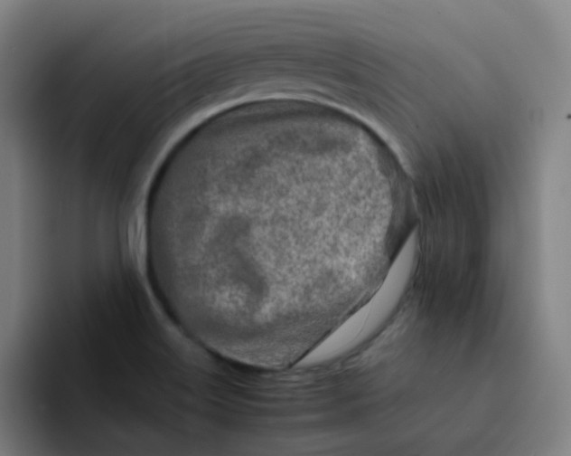 X0000094201515200711161758