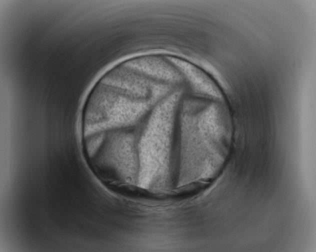 X0000094201516200711161758