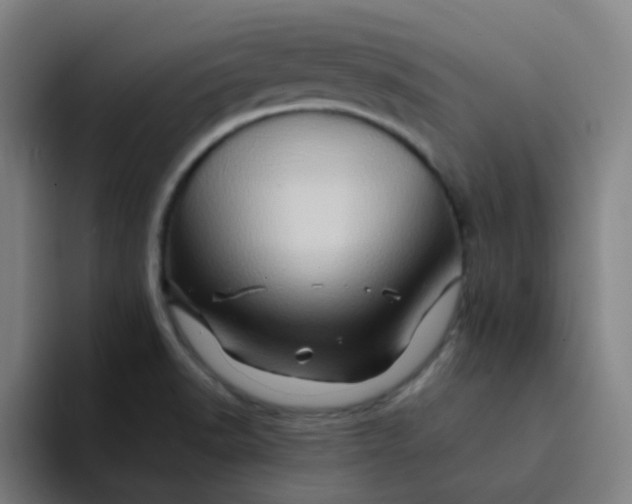 X0000094201518200711161758