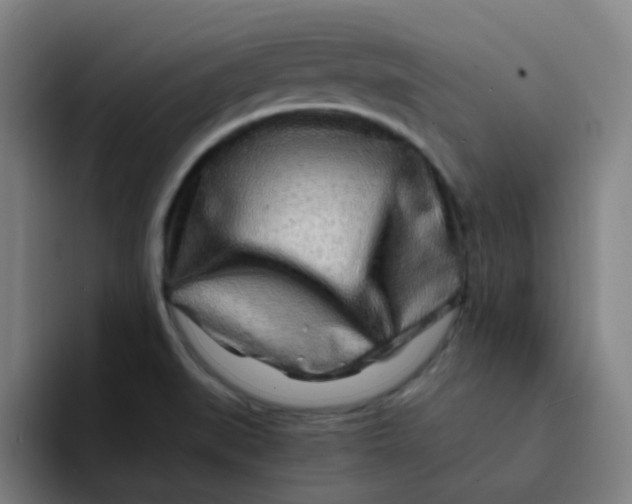 X0000094201519200711161758