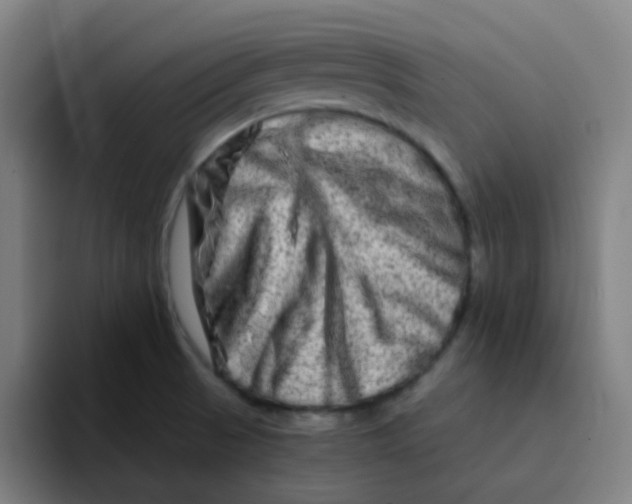 X0000094201521200711161758