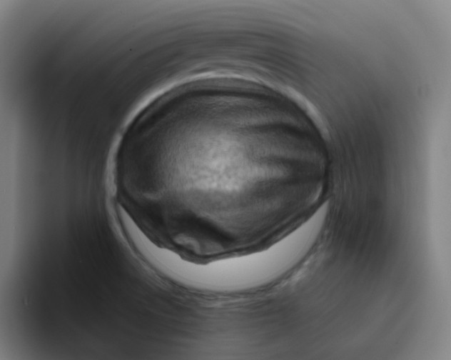 X0000094201522200711161758