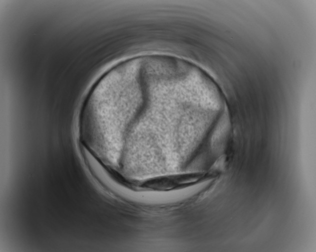 X0000094201523200711161758