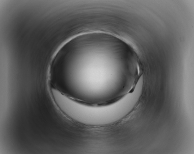 X0000094201524200711161758