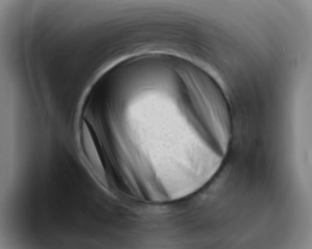 X0000094201525200711161758