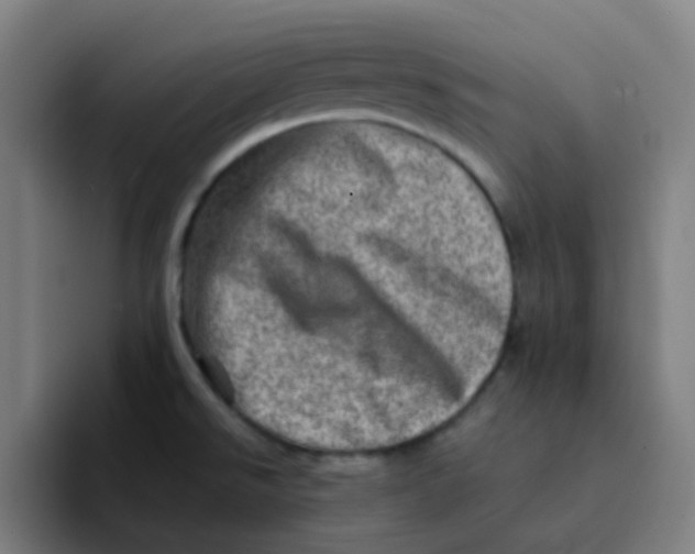 X0000094201526200711161758