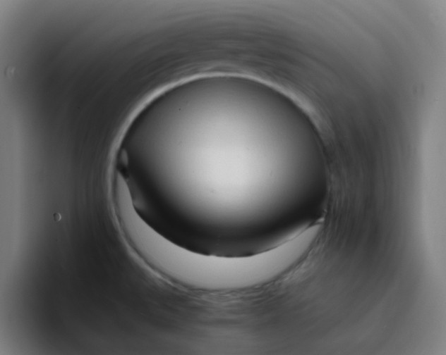 X0000094201527200711161758