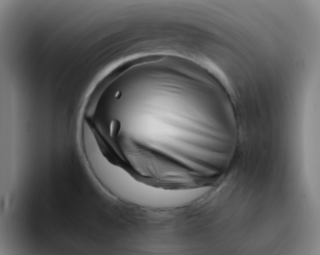 X0000094201528200711161758