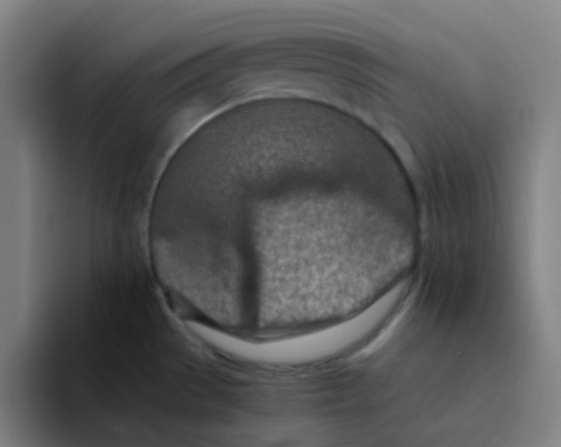 X0000094201529200711161758