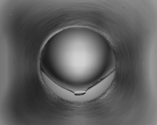 X0000094201530200711161758