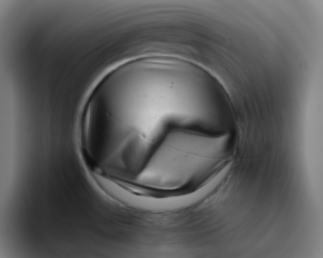 X0000094201531200711161758