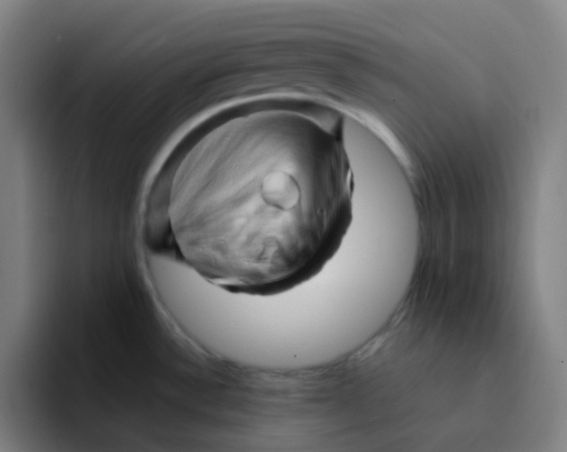 X0000094201532200711161758