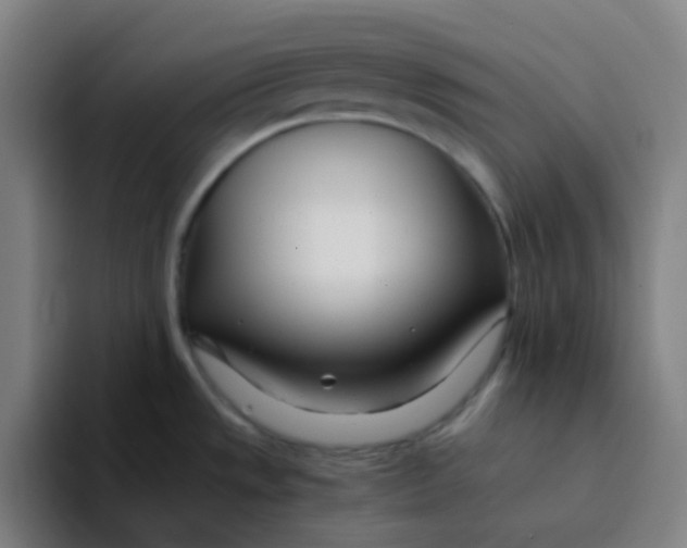 X0000094201533200711161758