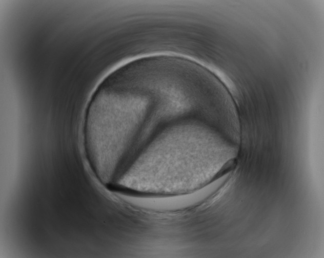 X0000094201534200711161758