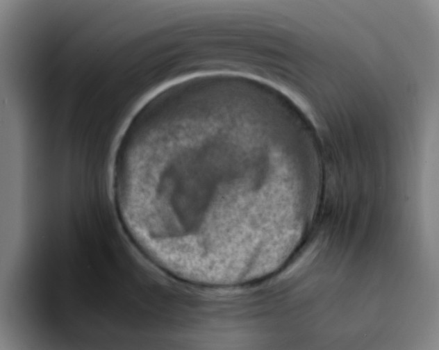 X0000094201535200711161758