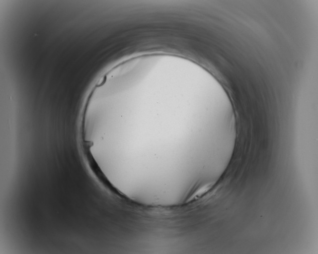 X0000094201536200711161758