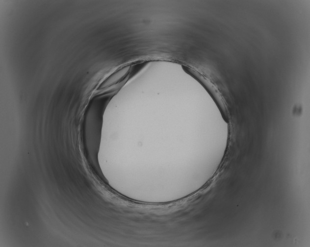 X0000094200001200711241648