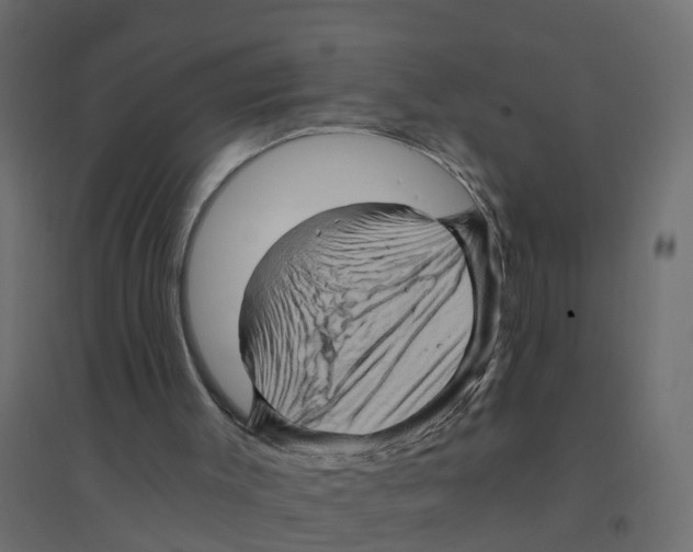 X0000094200003200711241647