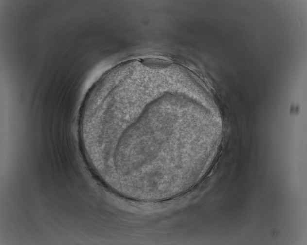 X0000094200006200711241647