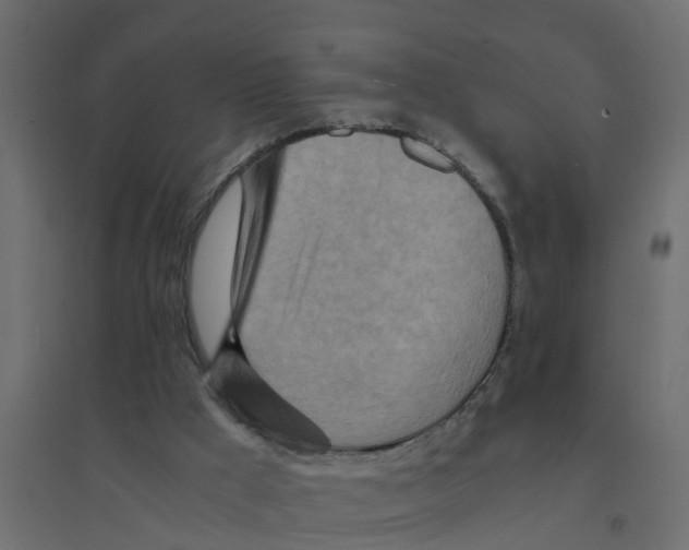 X0000094200009200711241647