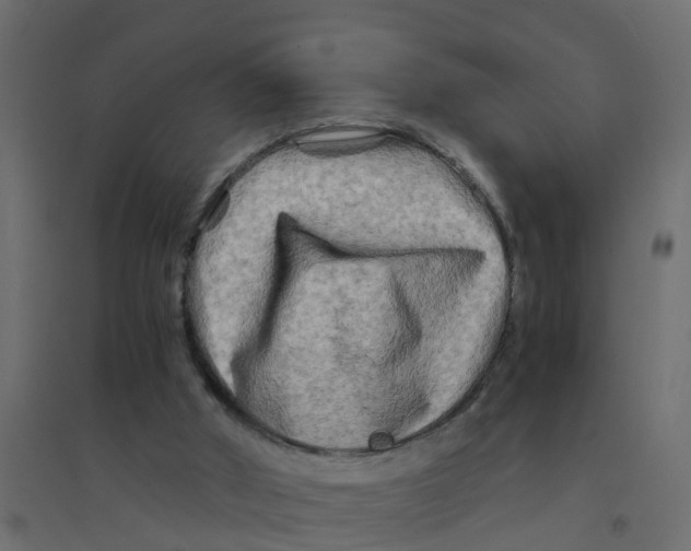 X0000094200010200711241647