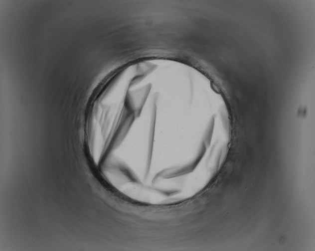 X0000094200011200711241647