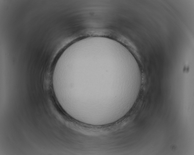 X0000094200012200711241647