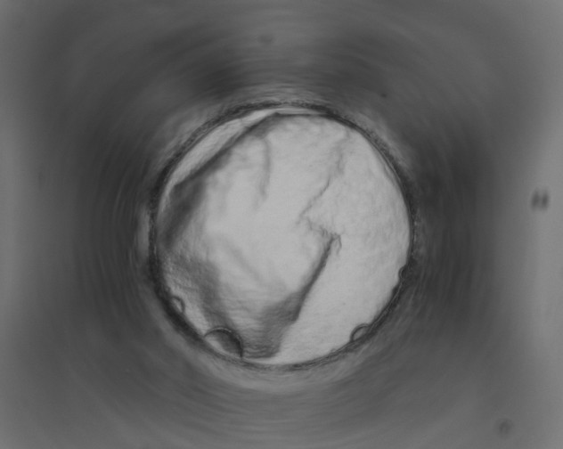 X0000094200014200711241647