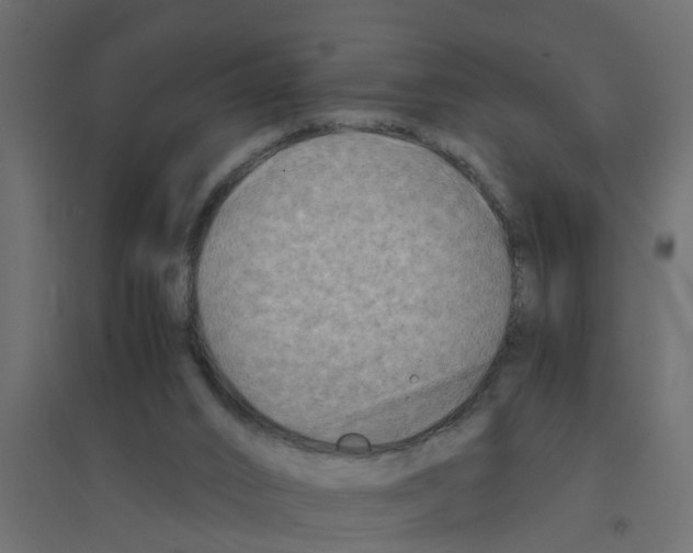 X0000094200016200711241647