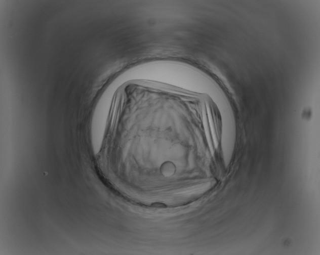 X0000094200019200711241647