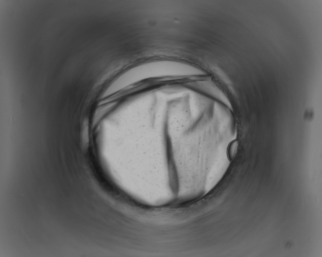 X0000094200020200711241647