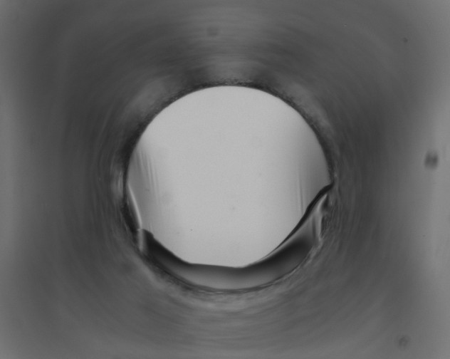 X0000094200021200711241647