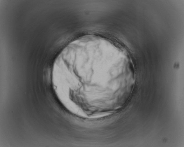 X0000094200022200711241647
