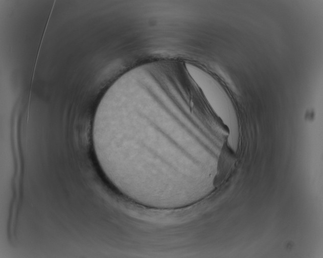 X0000094200023200711241647